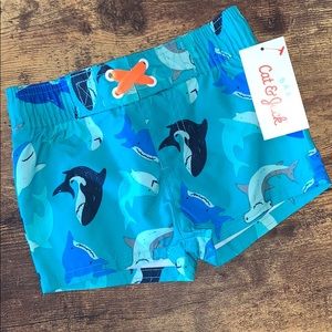 NWT CAT & JACK Baby Boy Swim Shorts/Trunks Sharks